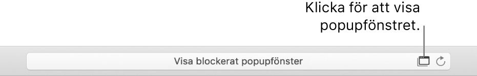 Det smarta sökfältet visar en symbol till höger för att tillåta popupfönster.