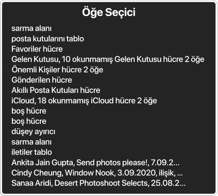 Öğe Seçici; diğer öğelerin yanı sıra boş kaydırma alanı, kapat düğmesi, araç çubuğu ve Paylaş düğmesi gibi öğeleri listeleyen bir paneldir.