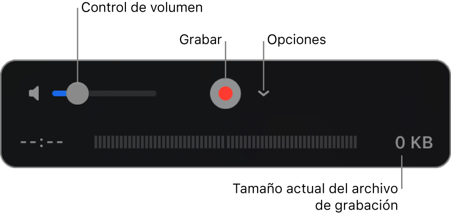 Los controles de grabación, incluido el control de volumen, el botón Grabar y el menú desplegable Opciones.