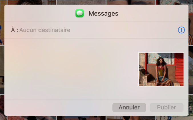 Une zone de dialogue pour ajouter des destinataires lors du partage de photos à partir de l’app Photos via Messages.