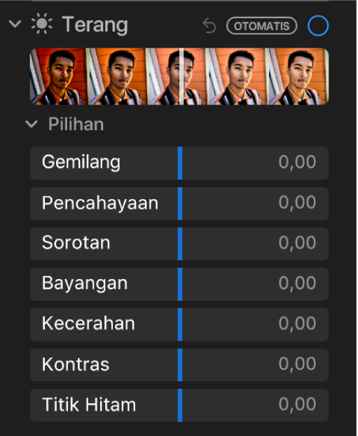 Area Cahaya pada panel Sesuaikan menampilkan penggeser untuk Gemilang, Pencahayaan, Sorotan, Bayangan, Kecerahan, Kontras, dan Titik Hitam.