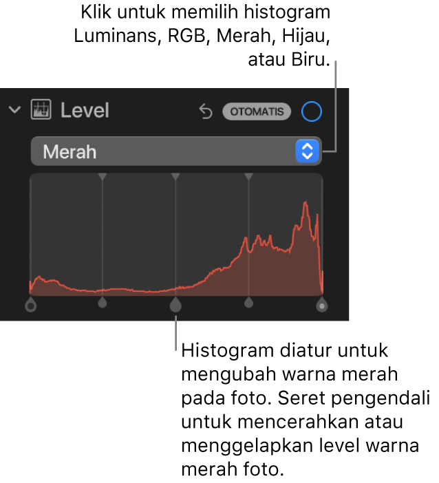 Kontrol Level di panel Sesuaikan, menampilkan histogram Merah dengan pengendali di bawah untuk menyesuaikan level merah foto.