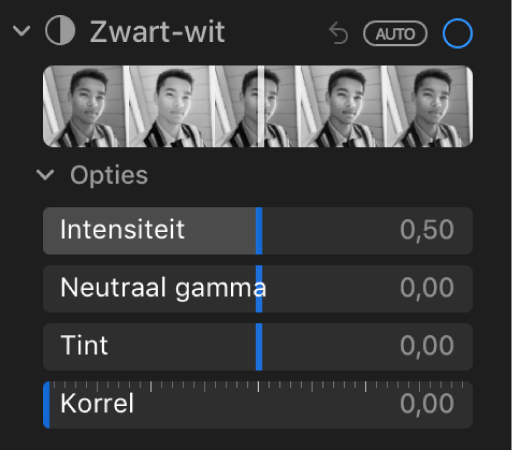 Het gedeelte 'Zwart-wit' van het paneel 'Pas aan' met schuifknoppen voor 'Intensiteit', 'Neutraal', 'Tint' en 'Korrel'.