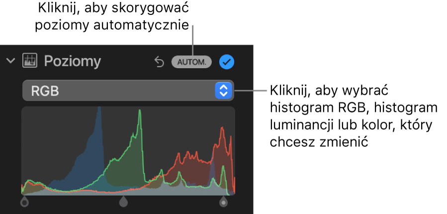 Narzędzia pod etykietą Poziomy w panelu Korekta. W prawym górnym rogu widoczny jest przycisk Autom., a poniżej znajduje się histogram RGB.