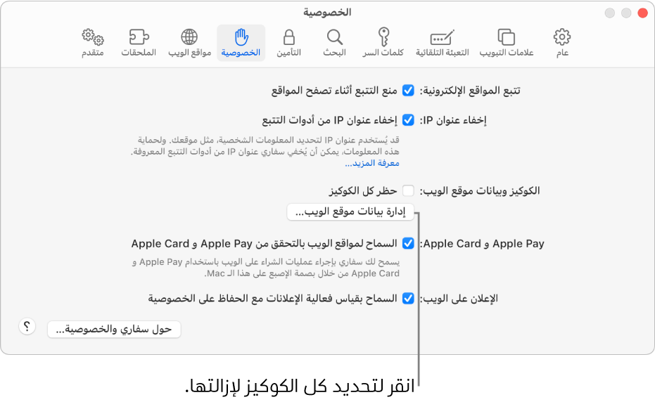 جزء الخصوصية في إعدادات سفاري.