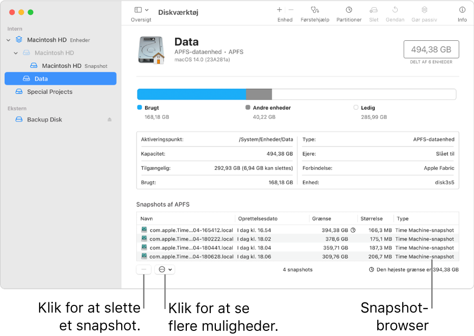 Et Diskværktøj-vindue, der viser browseren til snapshots.