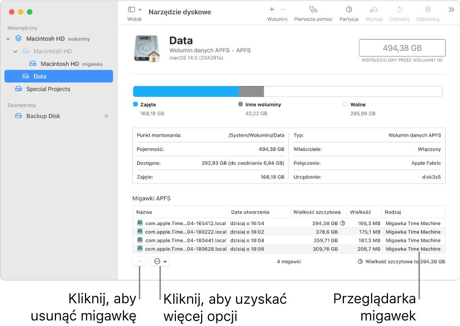 Okno Narzędzia dyskowego z pokazaną przeglądarką migawek.