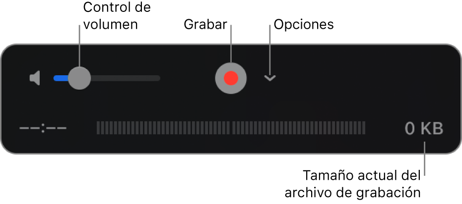 Los controles de grabación, incluido el control de volumen, el botón Grabar y el menú desplegable Opciones.