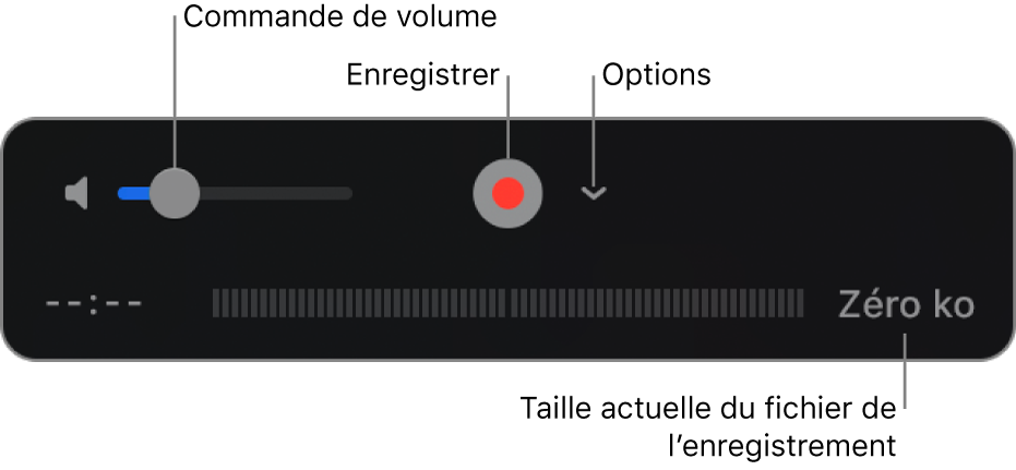 Les commandes d’enregistrement, notamment le contrôle du volume et le bouton Enregistrer, et le menu local Options.