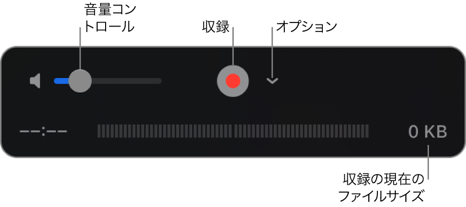 音量コントロール、収録ボタン、および「オプション」ポップアップメニューを含む収録コントロール。