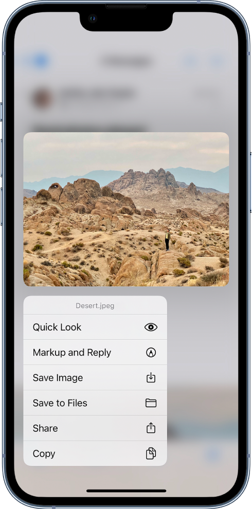 An email attachment is selected with possible actions listed. The options include Quick Look, Markup and Reply, Save Image, Save to Files, Share, and Copy.