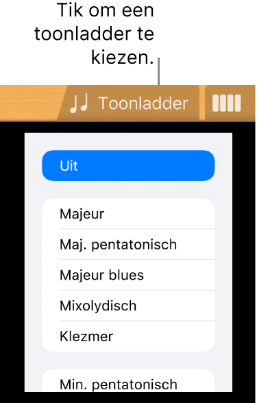 Knop 'Toonladder' voor de gitaar