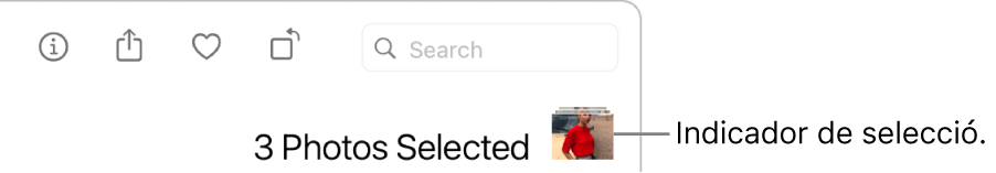 Un indicador de selecció que mostra que hi ha tres fotos seleccionades.