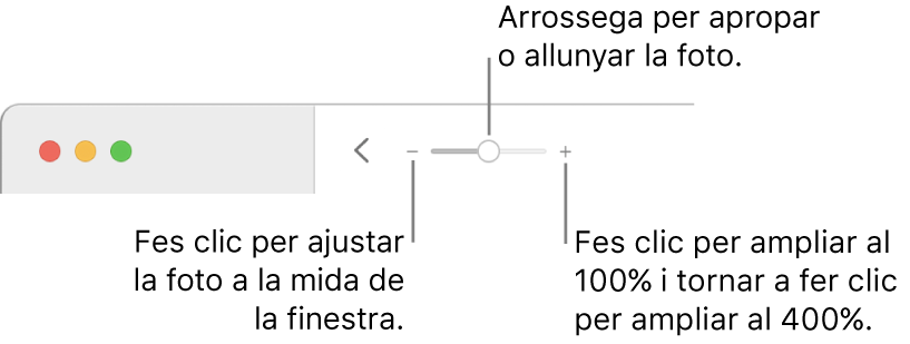 La barra d’eines que mostra els controls de zoom.