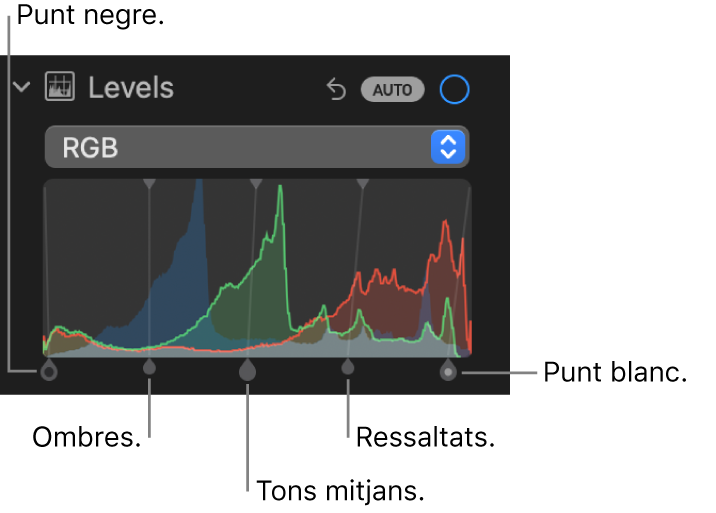 Els controls de nivell al tauler Ajustar, que mostren l’histograma corresponent a RGB amb marcadors a sota, inclosos (d’esquerra a dreta): punt negre, ombres, tons mitjans, ressaltats i punt blanc.