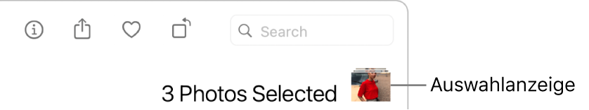 Auswahlanzeige mit drei ausgewählten Fotos.