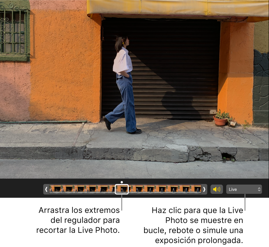 Una Live Photo en la vista de edición con un regulador debajo de ella mostrando los marcos de la foto. A la derecha del regulador está el botón Altavoz y un menú desplegable que puedes usar para agregar un efecto de bucle, rebote o exposición larga.