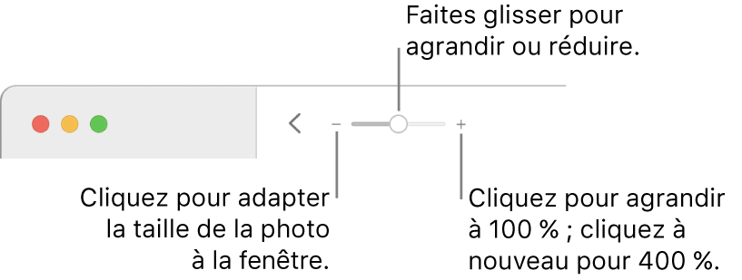 La barre d’outils affichant les commandes Réduire/agrandir.