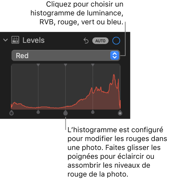 Les commandes Niveaux dans la sous-fenêtre Ajuster, montrant l’histogramme Rouge au-dessus de poignées, permettant d’ajuster les niveaux de rouge de la photo.