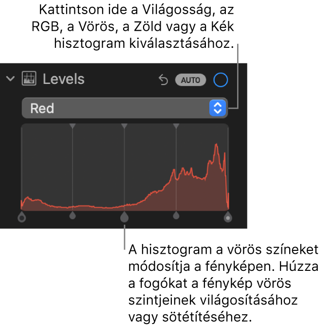 A Beállítás panel szintek vezérlői a Vörös-hisztogrammal és az alatta látható, a fotó vörös szintjeinek beállítására szolgáló fogókkal.