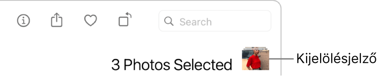 Kijelölésjelző: három fotó van kijelölve.