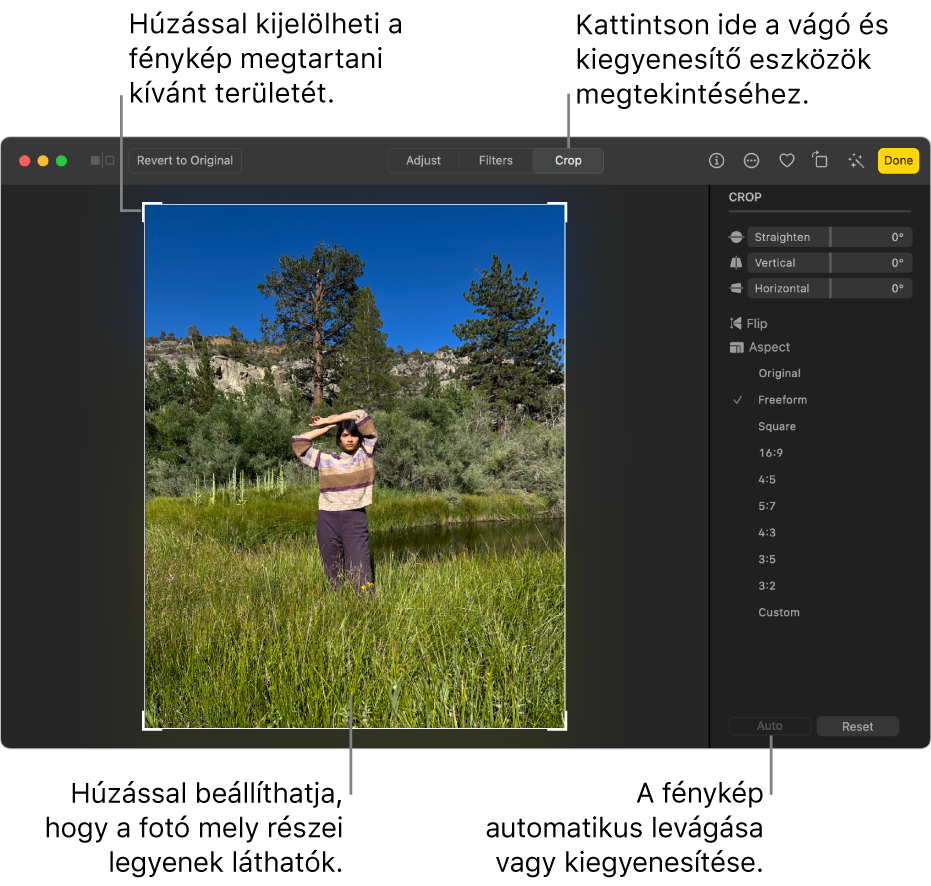 Egy fotó szerkesztési nézetben, az eszközsoron kijelölt Körbevágás elemmel, a fotót körülvevő kijelölési téglalappal, a kiegyenesítő csúszkákkal, az oldalarány beállításokkal, illetve az Automatikus és a Visszaállítás gombokkal a jobb oldalon.