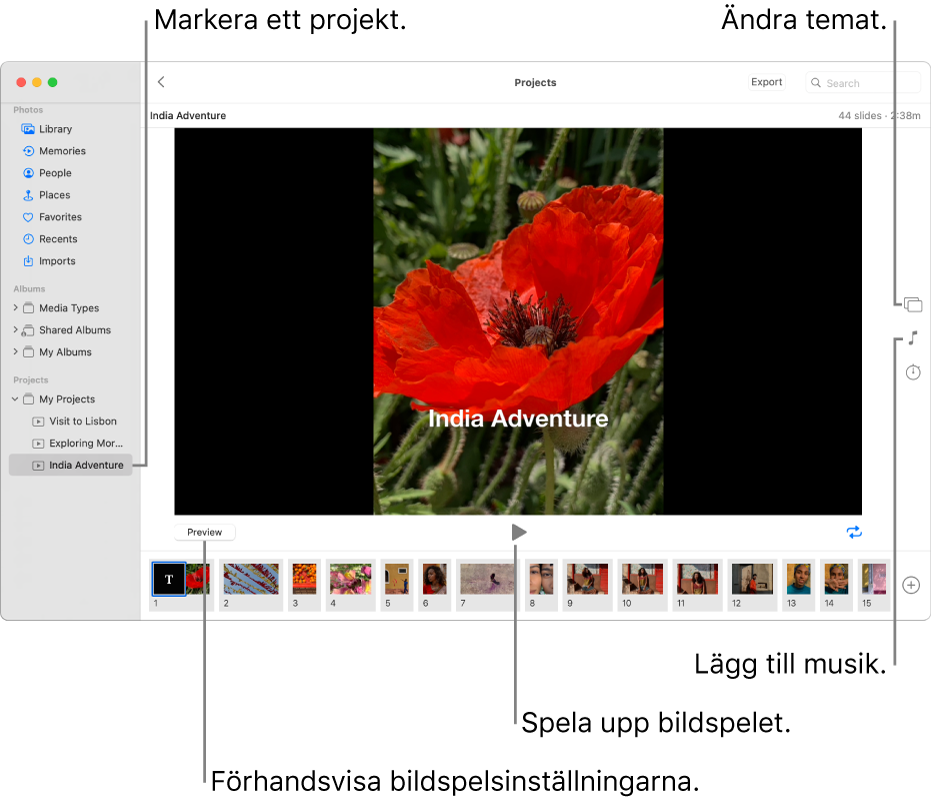 Bilder-fönstret med ett bildspel i huvuddelen av fönstret med förhandsvisningsknapp, uppspelningsknapp och loopknapp under huvudbilden för bildspelet, miniatyrer för alla bilder i bildspelet längst ned i fönstret samt knapparna för tema, musik och tidslängd till höger.