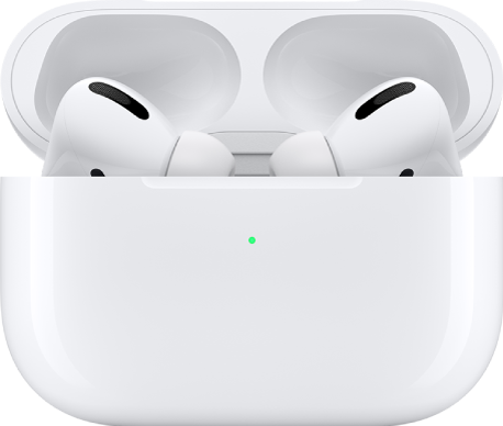 AirPods Pro (prima generazione) all'interno della loro custodia di ricarica.