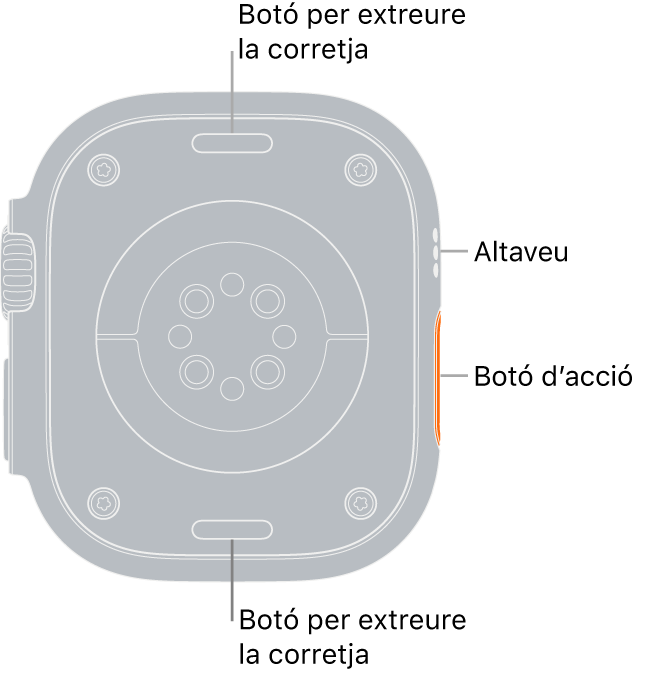 La part de darrere de l’Apple Watch Ultra mostra els botons per obrir la corretja a dalt i a baix; els sensors cardíacs elèctrics, els sensors cardíacs òptics i els sensors d’oxigen en sang al centre, i l’altaveu i les sortides de ventilació a la part lateral del rellotge.