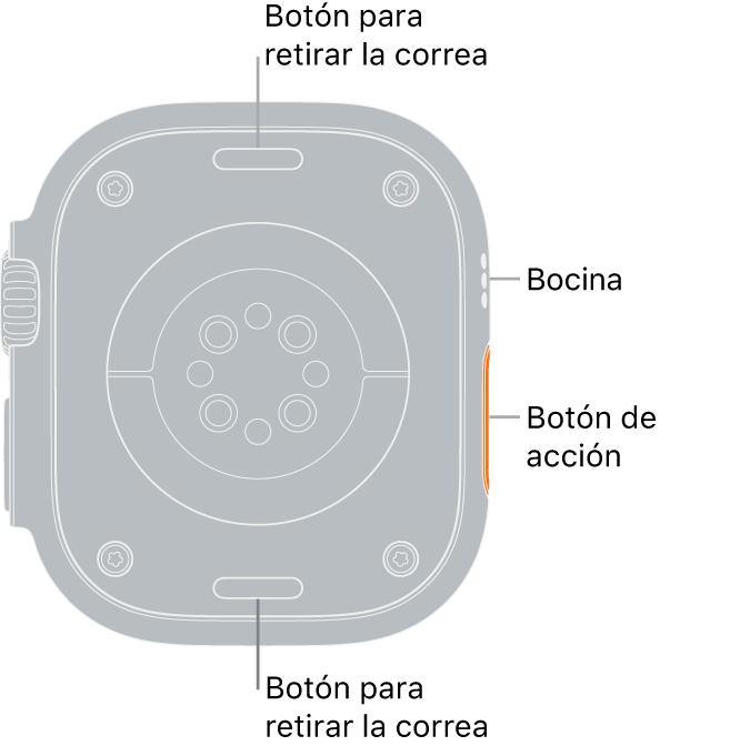 En el reverso del Apple Watch Ultra se muestran los botones de liberación de correa en la parte superior e inferior; los sensores eléctricos y ópticos para medir la frecuencia cardiaca y los sensores para medir los niveles de oxígeno en la sangre en el centro; y la bocina/ranuras de aire en un lado.