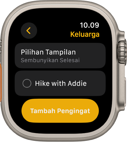 App Pengingat menampilkan pengingat. Tombol Lihat Pilihan terdapat di bagian atas, dengan pengingat di bawah. Di bagian bawah terdapat tombol Tambah Pengingat.