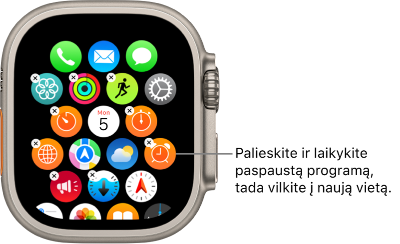 „Apple Watch“ pagrindinio ekrano tinklelio rodinys.