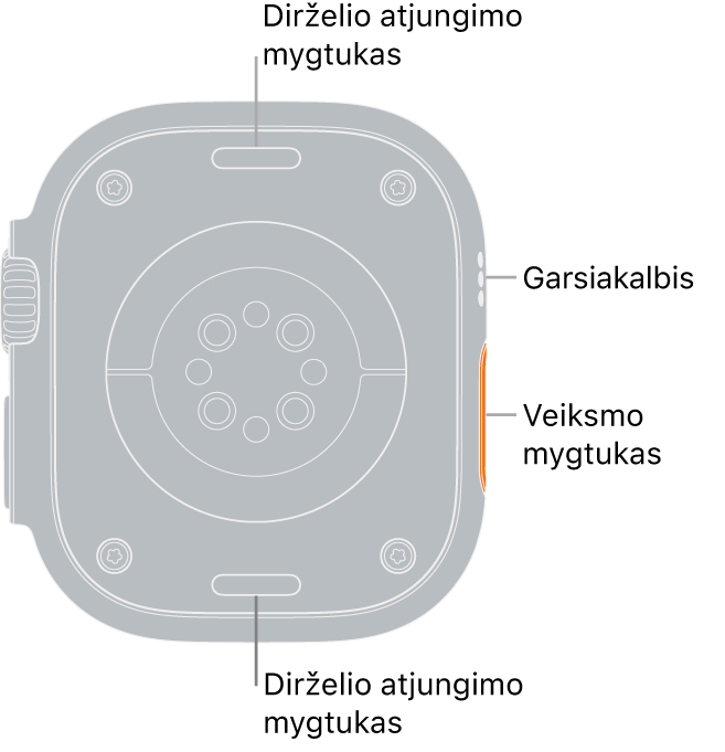 „Apple Watch Ultra“ galinė pusė, dirželio atjungimo mygtukai viršuje ir apačioje, elektriniai širdies jutikliai, optiniai širdies jutikliai ir deguonies kraujyje matavimo jutikliai viduryje bei garsiakalbis / ventiliacijos angos šone.