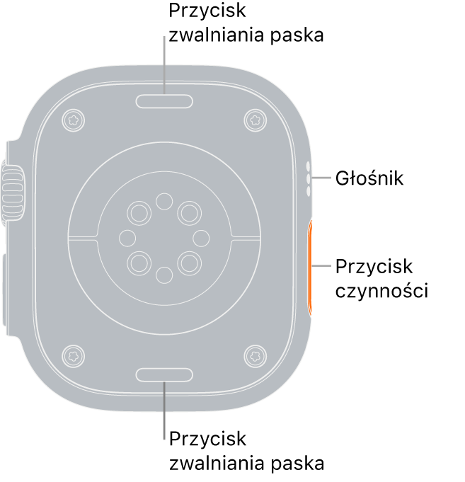 Apple Watch Series Ultra widziany z tyłu. Na górze i na dole znajdują się przyciski zwalniania paska. Na środku znajdują się: elektryczne czujniki tętna, optyczne czujniki tętna oraz czujniki tlenu we krwi. Z boku znajdują się otwory głośnika i wentylacji.