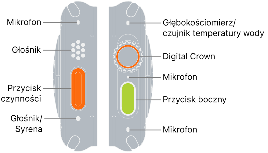 Dwie strony Apple Watch Ultra. Ilustracja po lewej przedstawia lewą stronę Apple Watch Ultra widzianego z tyłu. Objaśnienia wskazują, od góry: mikrofon, głośnik, przycisk czynności oraz szczelinę głośnika używaną do emitowania dźwięku syreny. Ilustracja po prawej przedstawia prawą stronę Apple Watch Ultra widzianego z tyłu. Objaśnienia wskazują, od góry: głębokościomierz/czujnik temperatury wody, Digital Crown, mikrofon, przycisk boczny oraz dodatkowy mikrofon.