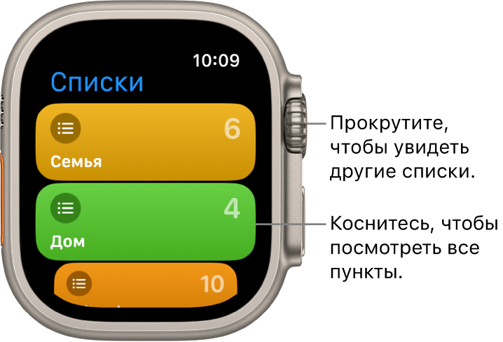 На экране со списками напоминаний в приложении «Напоминания» показаны две кнопки: «Семья» и «Дом». Цифры справа означают количество напоминаний в каждом списке. Коснитесь списка, чтобы просмотреть его элементы, или прокрутите колесико Digital Crown, чтобы просмотреть другие списки.