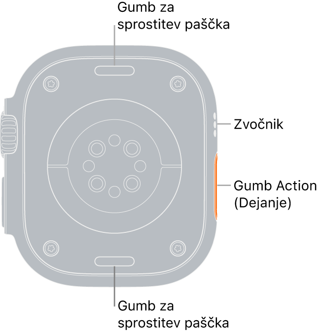 Zadnji del ure Apple Watch Ultra z gumboma za sprostitev paščka zgoraj in spodaj, električnim senzorjem srčnega utripa, optičnimi senzorji srčnega utripa in senzorji kisika v krvi v sredini ter zvočnikom/zračniki na strani.