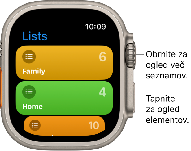 Zaslon Reminders (Opomniki) v aplikaciji Reminder (Opomnik) prikazuje dva gumba seznama – Family (Družina) in Home (Dom). Številke na desni strani vam povedo, koliko opomnikov je na vsakem posameznem seznamu. Tapnite seznam za ogled njegovih elementov ali zavrtite gumb Digital Crown za ogled več seznamov.