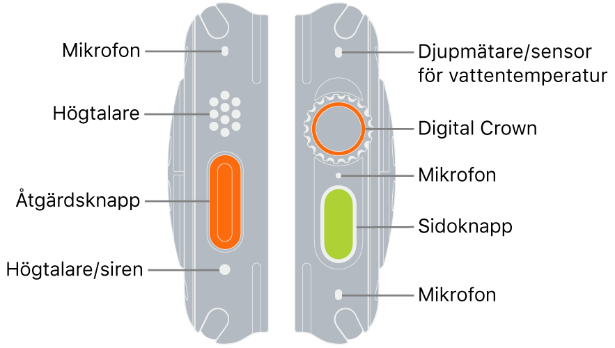 De båda sidorna på Apple Watch Ultra. Den vänstra bilden visar baksidan på Apple Watch Ultra till vänster. Från överkanten till nederkanten pekar streck på en mikrofon, en högtalare, åtgärdsknappen och en högtalarport för sirenljudet. Den högra bilden visar baksidan på Apple Watch Ultra till höger. Från överkanten till nederkanten pekar streck på djupmätaren/vattentemperatursensorn, Digital Crown, mikrofonen, sidoknappen och en annan mikrofon.