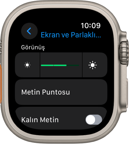 En üstte Parlaklık sürgüsü ve altında Metin Puntosu düğmesi olmak üzere Apple Watch’ta Ekran ve Parlaklık ayarları.