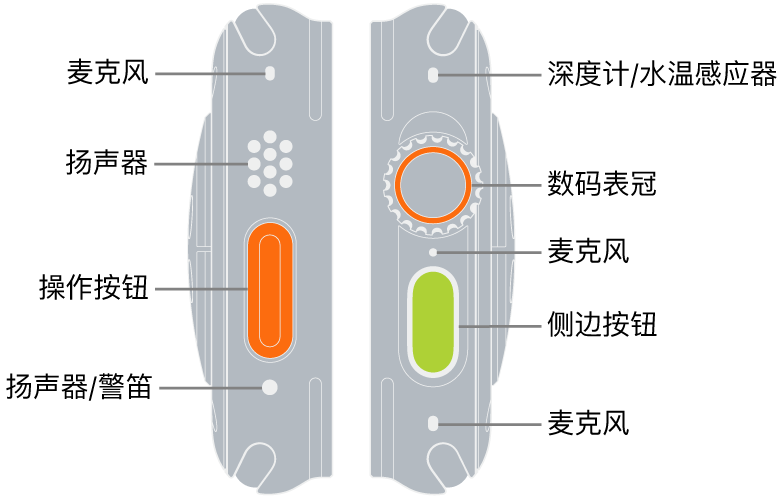 Apple Watch Ultra 的两侧。左图像左侧显示 Apple Watch Ultra 的背面。各个标注从上到下依次指向麦克风、扬声器、操作按钮和警笛发声位置的扬声器端口。右图像右侧显示 Apple Watch Ultra 的背面。各个标注从上到下依次指向深度计/水温感应器、数码表冠、麦克风、侧边按钮和另一个麦克风。