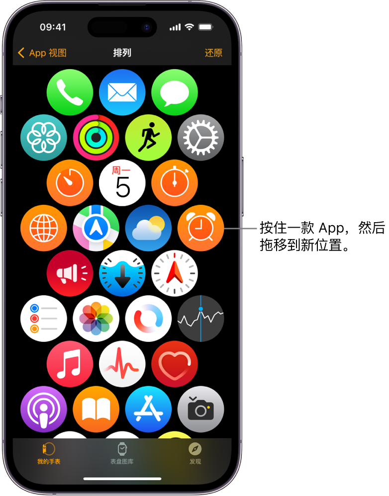 Apple Watch App 中的“排列”屏幕，按网格显示图标。