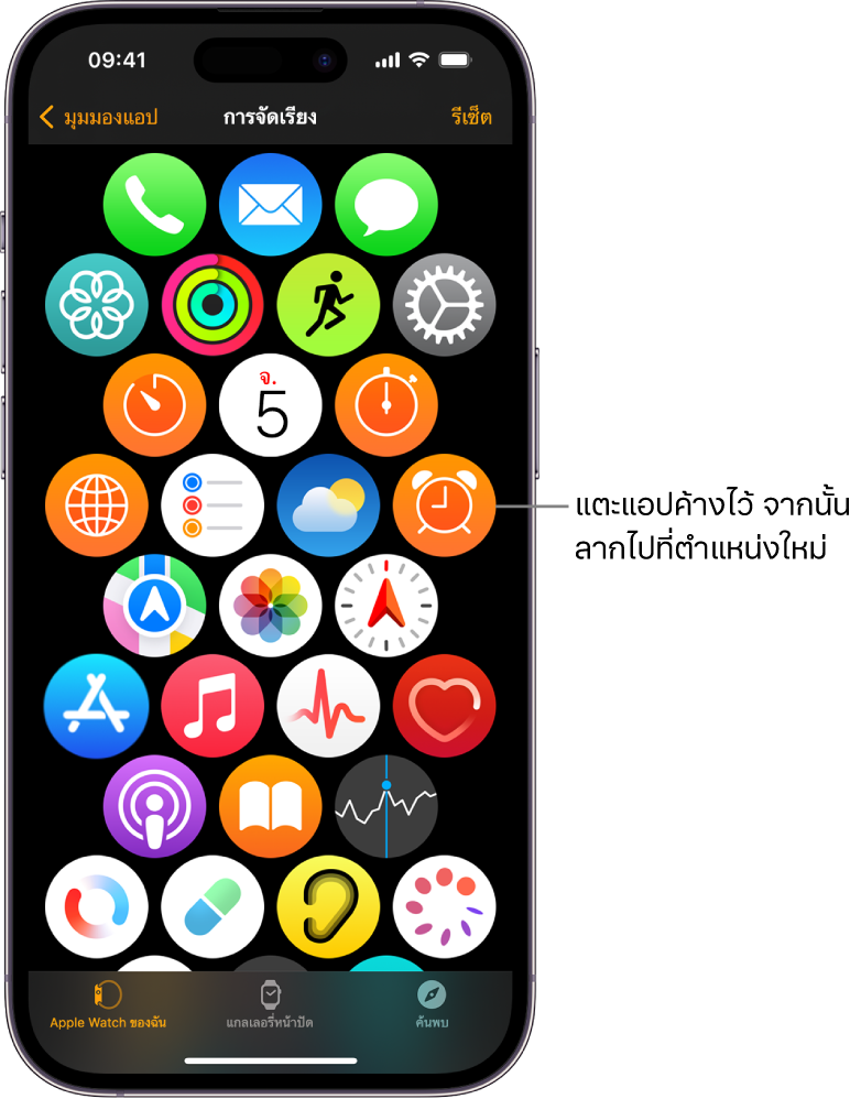 หน้าจอการจัดเรียงในแอป Apple Watch ที่แสดงไอคอนในรูปแบบตาราง