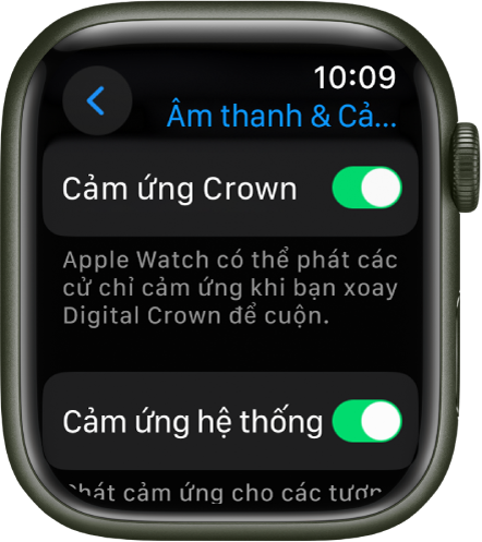 Màn hình Cảm ứng Crown, đang hiển thị công tắc Cảm ứng Crown được bật. Công tắc Cảm ứng hệ thống ở bên dưới.