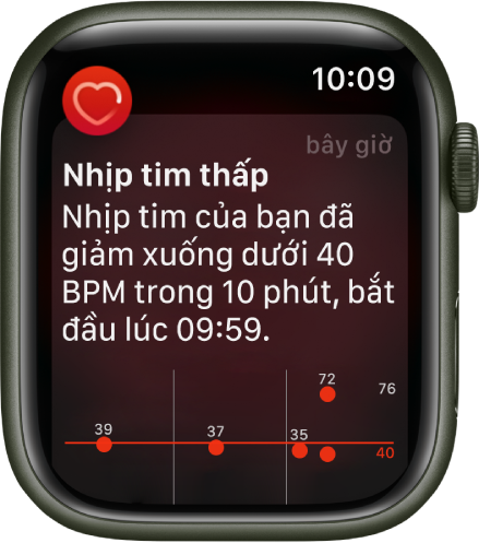 Màn hình Nhịp tim thấp đang hiển thị một thông báo rằng nhịp tim của bạn đã giảm xuống dưới 40 BPM trong 10 phút.