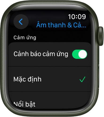 Cài đặt Âm thanh & Cảm ứng trên Apple Watch, với công tắc Cảnh báo cảm ứng và các tùy chọn Mặc định và Nổi bật ở bên dưới.