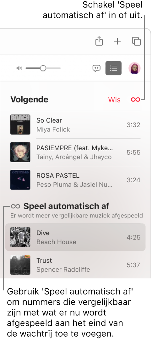 De wachtrij 'Volgende'. Klik op de knop voor automatisch afspelen om deze functie in of uit te schakelen. Wanneer 'Speel automatisch af' is ingeschakeld, worden aan het einde van de wachtrij vergelijkbare nummers toegevoegd.