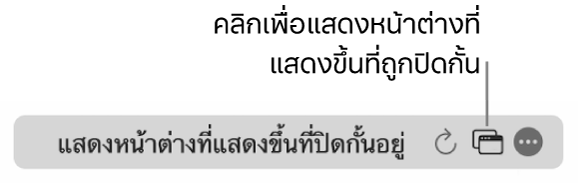 ช่องค้นหาอัจฉริยะที่มีไอคอนเพื่อแสดงหน้าต่างที่แสดงขึ้นที่ถูกปิดกั้น