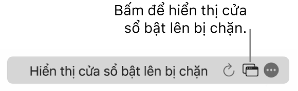 Trường Tìm kiếm thông minh với một biểu tượng để hiển thị các cửa sổ bật lên bị chặn.