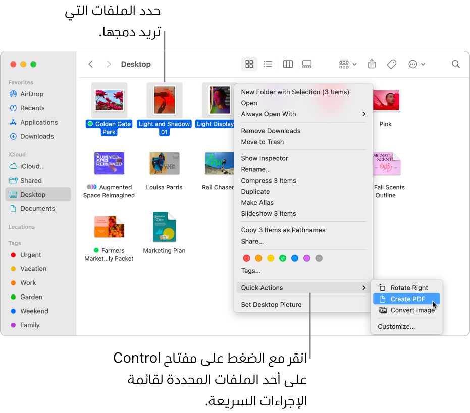 نافذة فايندر تحتوي على ملفات ومجلدات، وقد تم تحديد ثلاثة ملفات، كما تم تمييز إجراء إنشاء مستند PDF في قائمة الإجراءات السريعة.